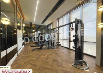 Gym with modern equipment and large windows