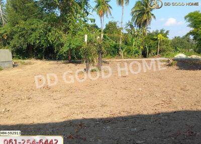 Vacant lot with surrounding trees and clear sky