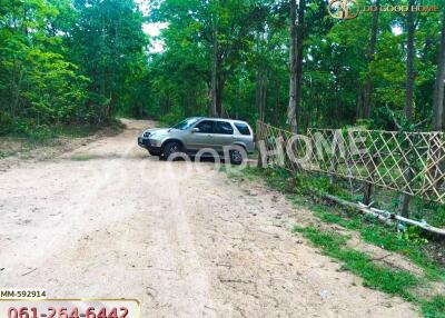 Outdoor view with car parked on a dirt road surrounded by trees