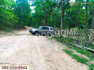 Outdoor view with car parked on a dirt road surrounded by trees