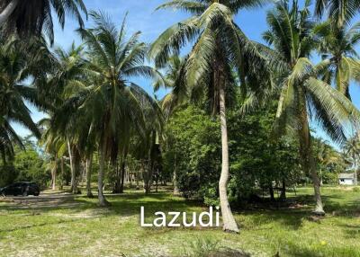 Prime Flat Land Plots Near Hin Kong Beach, Koh Phangan