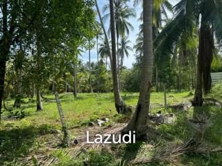 Prime Flat Land Plots Near Hin Kong Beach, Koh Phangan