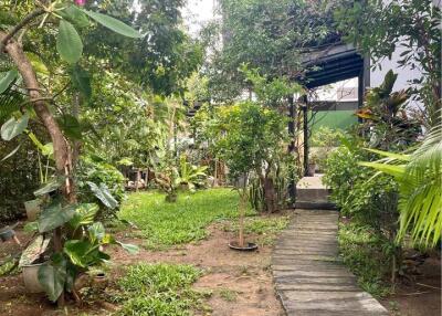 Townhouse for Rent in San Phak Wan , Hang dong