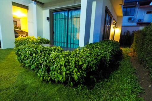 front yard with greenery in front of a modern house