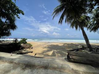 Stunning beach view with palm trees