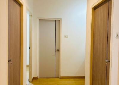 Bright hallway with wooden doors and flooring