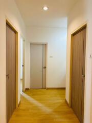 Bright hallway with wooden doors and flooring