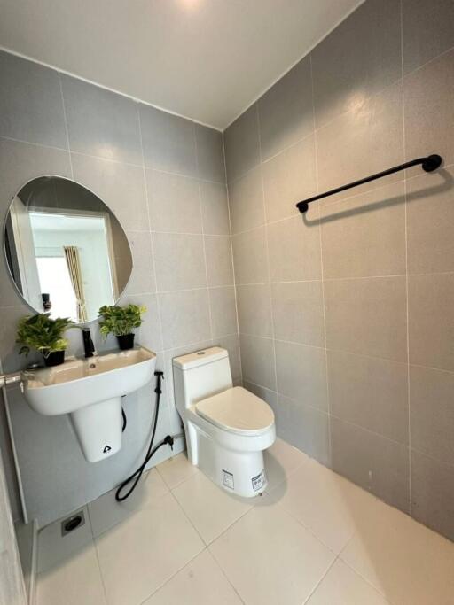 Modern bathroom with grey tiles, round mirror, and potted plants