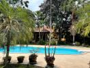 Outdoor area featuring a swimming pool, surrounded by lush greenery and pot plants