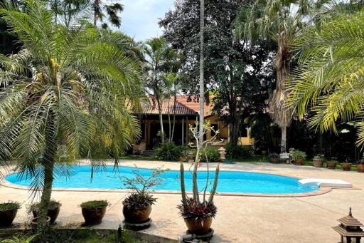 Outdoor area featuring a swimming pool, surrounded by lush greenery and pot plants