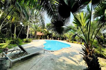 Large pool in a lush tropical garden