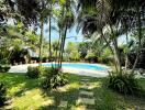 Beautiful garden with a swimming pool surrounded by lush greenery