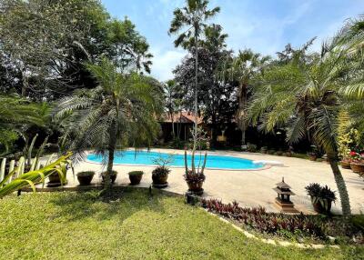lush backyard with swimming pool and tropical plants