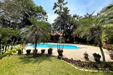 lush backyard with swimming pool and tropical plants
