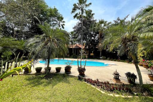 lush backyard with swimming pool and tropical plants