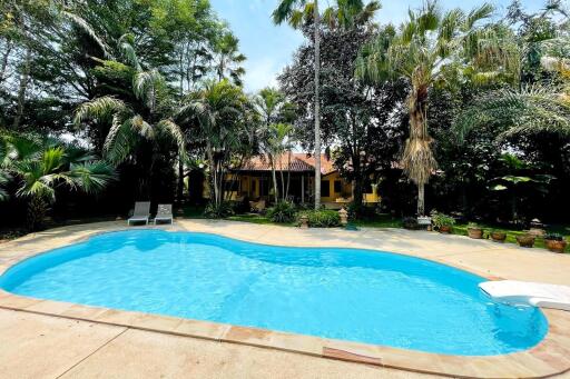 Outdoor swimming pool with surrounding trees and lounge chairs