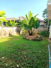 House for Rent in Don Kaeo, Saraphi.