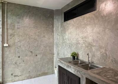 Modern kitchen with concrete walls and dual sink