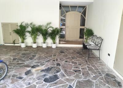 Property entrance with stone flooring, potted plants, and a decorative bench
