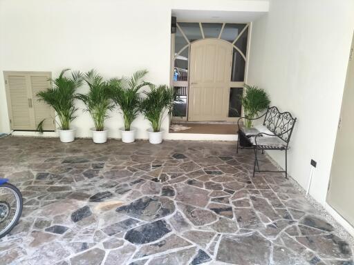 Property entrance with stone flooring, potted plants, and a decorative bench