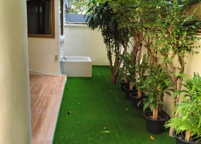 Outdoor garden with potted plants and artificial grass