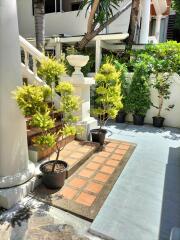 Well-maintained outdoor area with potted plants and tiled steps