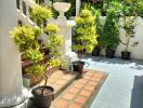 Well-maintained outdoor area with potted plants and tiled steps