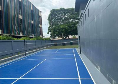 Outdoor sports court with blue flooring and net