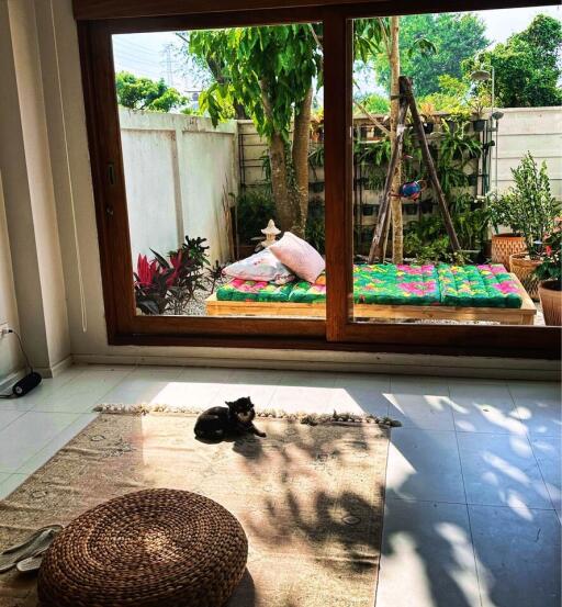 House for Rent in Fa Ham, Mueang Chiang Mai.