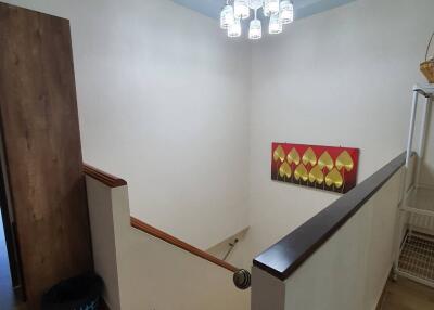 Townhouse for Rent, Sale in Pa Daet, Mueang Chiang Mai