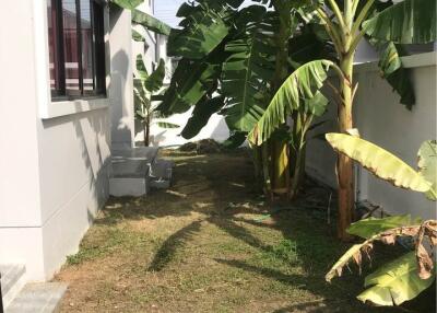 House for Rent in Ton Pao, San Kamphaeng