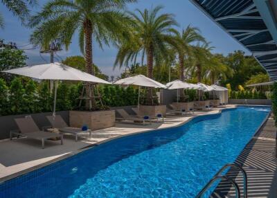 Swimming pool with lounge chairs and umbrellas surrounded by palm trees