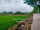 Outdoor view of property with green fields and sidewalk