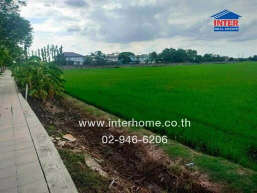 Pathway next to a green field