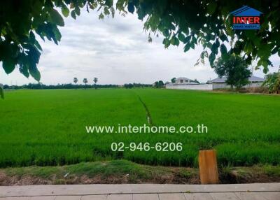 A view of a lush green field from the property