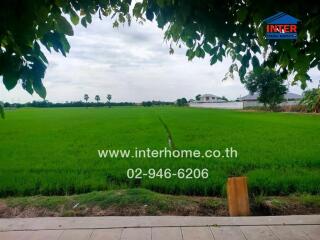 A view of a lush green field from the property