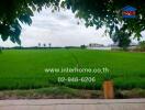 A view of a lush green field from the property