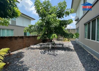 Backyard with gravel and tree