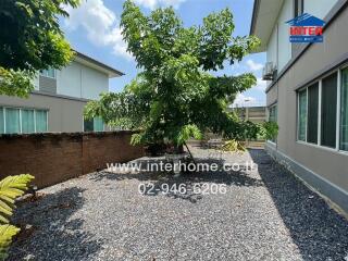 Backyard with gravel and tree