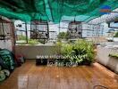 Balcony with bird cages and potted plants