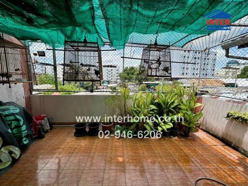 Balcony with bird cages and potted plants