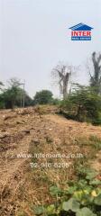 Vacant land plot with trees and dry vegetation