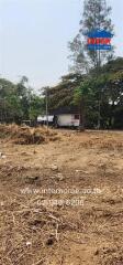 Vacant land plot with trees