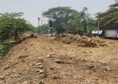 Vacant land with some trees in the background