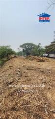 Vacant land with some trees in the background