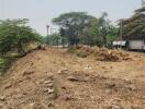 Vacant land with some trees in the background