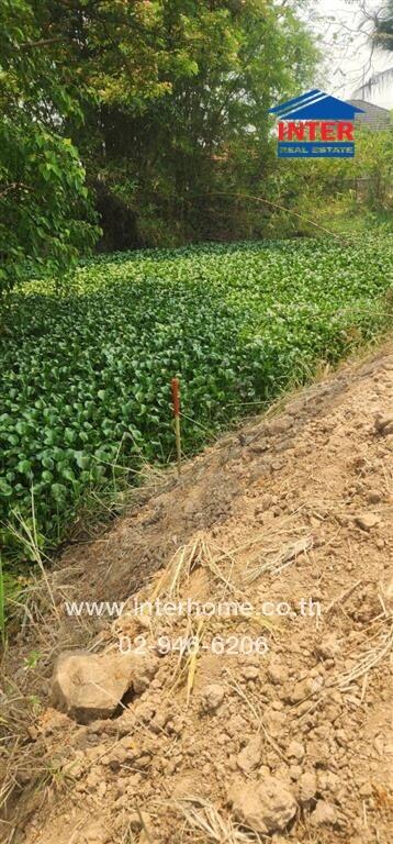 Plot of Land with Green Foliage