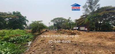 Vacant land with trees and road access