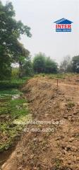 Vacant plot of land with some greenery and trees in the background