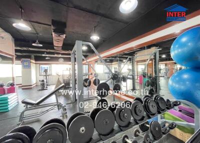 A well-equipped gym with weights and exercise machines.